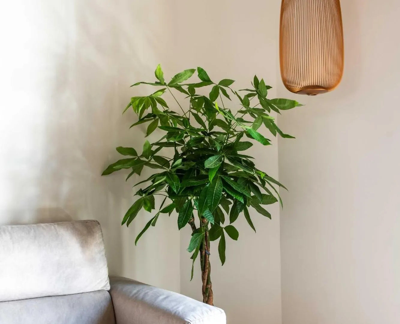 Casa Di Design Nella Piazzetta By Wonderful Italy Διαμέρισμα Παλέρμο